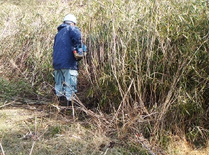 整備前の遊休農地・耕作放棄地2