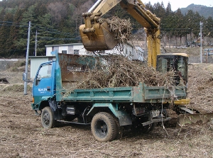 草の刈り払いや倒木作業1