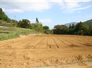 刈払いを完了したあと、新しい土を搬入し整地2